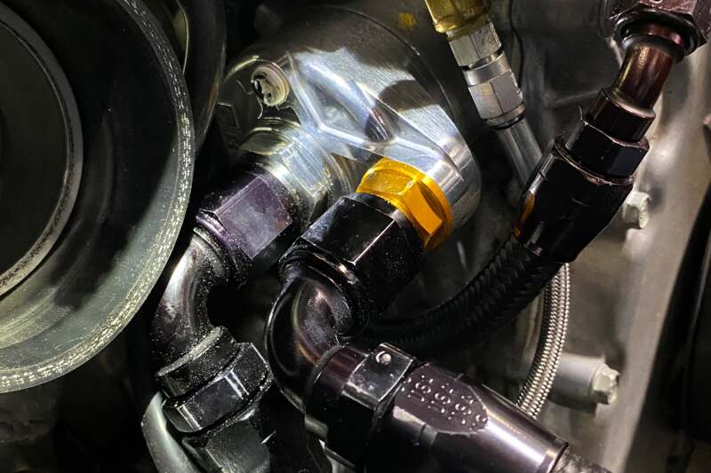 Photo - Close Up